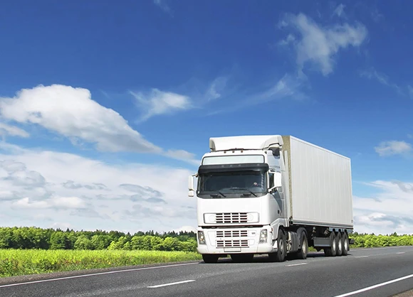 Experienced professionals carefully packing and unpacking belongings for a stress-free moving experience.